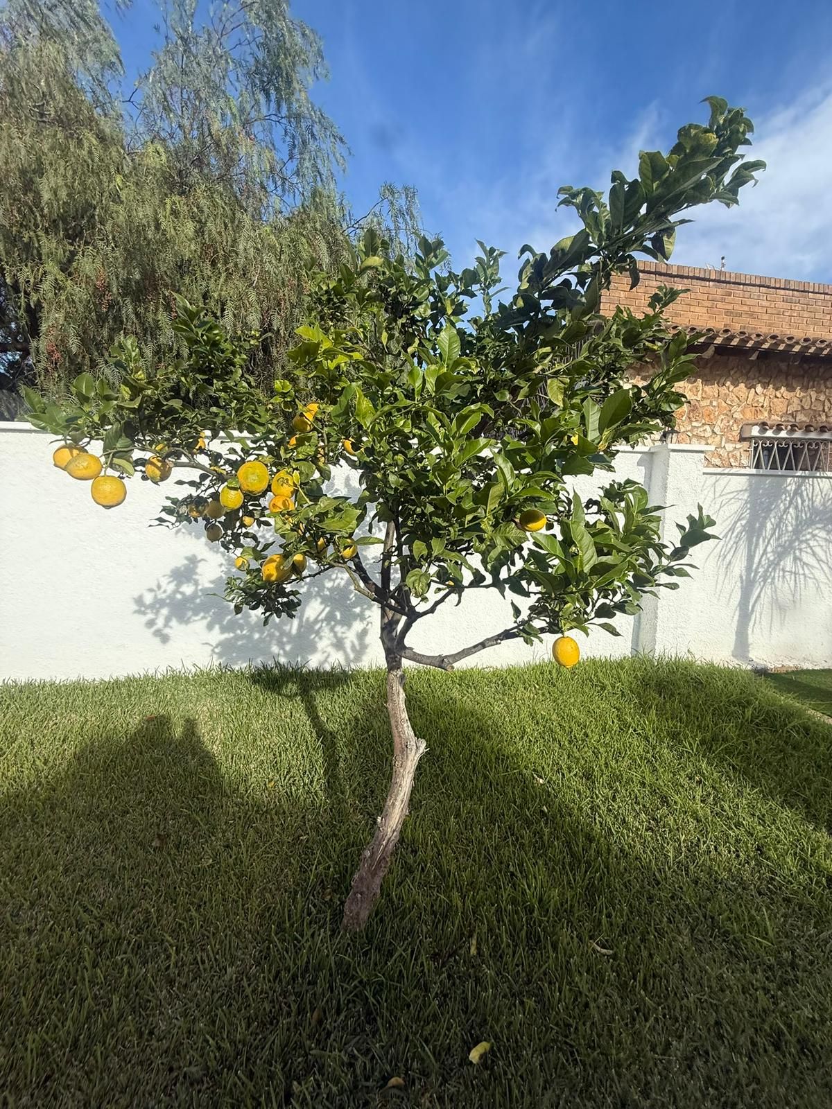 **Increible Chalet Independiente con piscina privada en el Corazón de Miami Playa** - Image 10