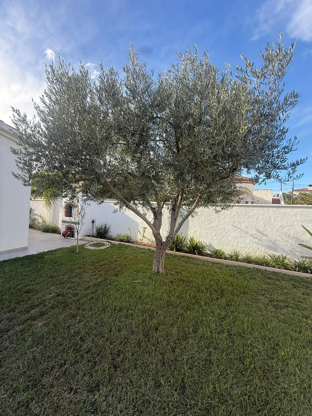 **Increible Chalet Independiente con piscina privada en el Corazón de Miami Playa** - Image 20