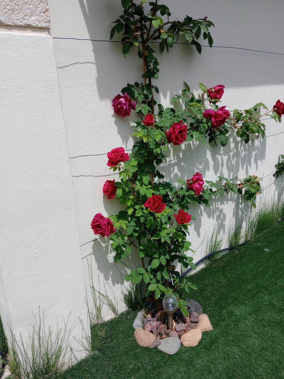 ¡Descubre tu nuevo hogar en este espectacular piso en planta baja, completamente reformado y ubicado a solo 100 metros de la playa en Cambrils - Image 19