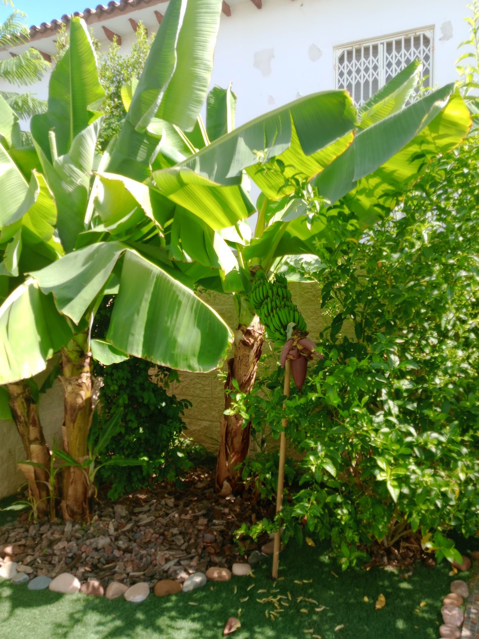 ¡Descubre tu nuevo hogar en este espectacular piso en planta baja, completamente reformado y ubicado a solo 100 metros de la playa en Cambrils - Image 21