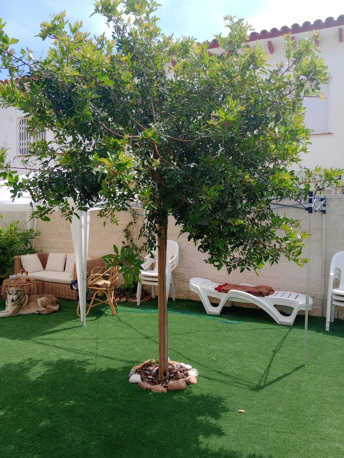 ¡Descubre tu nuevo hogar en este espectacular piso en planta baja, completamente reformado y ubicado a solo 100 metros de la playa en Cambrils - Image 27