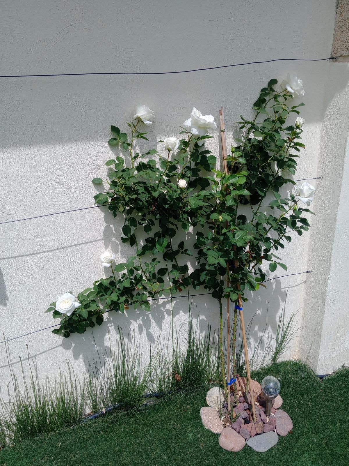 ¡Descubre tu nuevo hogar en este espectacular piso en planta baja, completamente reformado y ubicado a solo 100 metros de la playa en Cambrils - Image 28